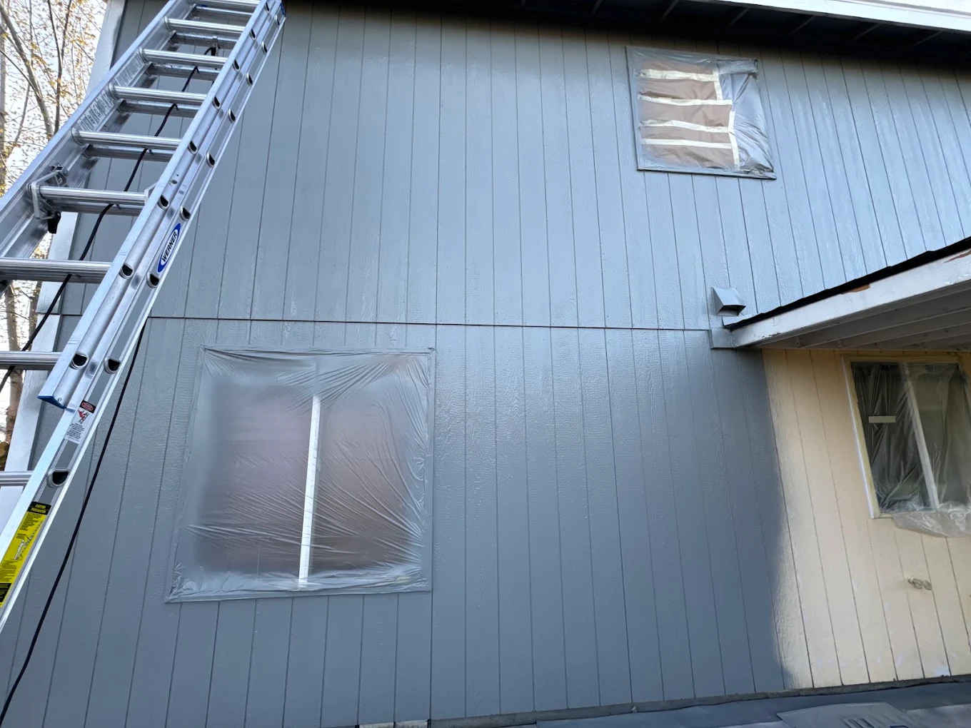 Two-tone exterior detail